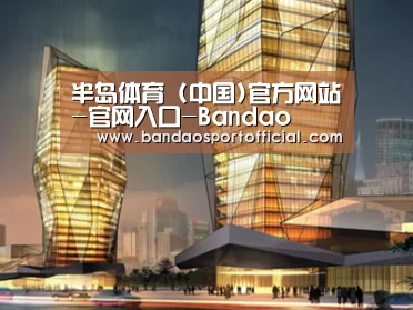 案例展示三(图1)
