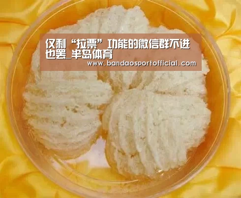 仅剩“拉票”功能的微信群不进也罢_半岛体育(图1)