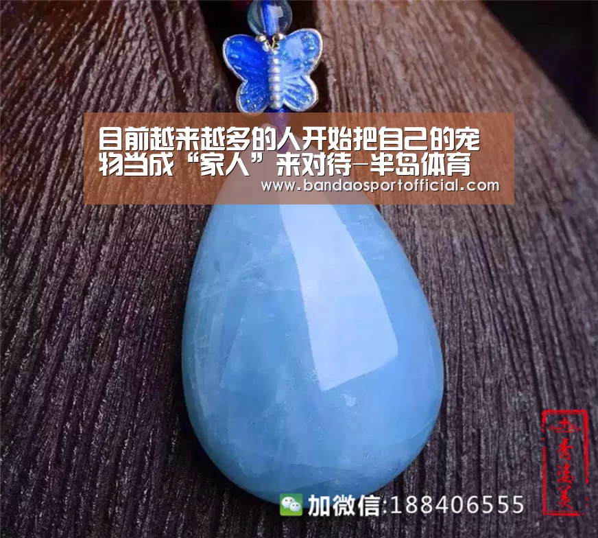 半岛体育官网