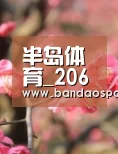 半岛体育在线下载