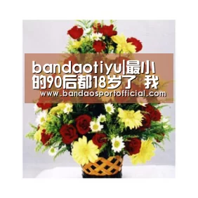 bandaotiyu|最小的90后都18岁了 我们终于开始抵抗平庸(图2) bandaotiyu|最小的90后都18岁了 我们终于开始抵抗平庸(图2)