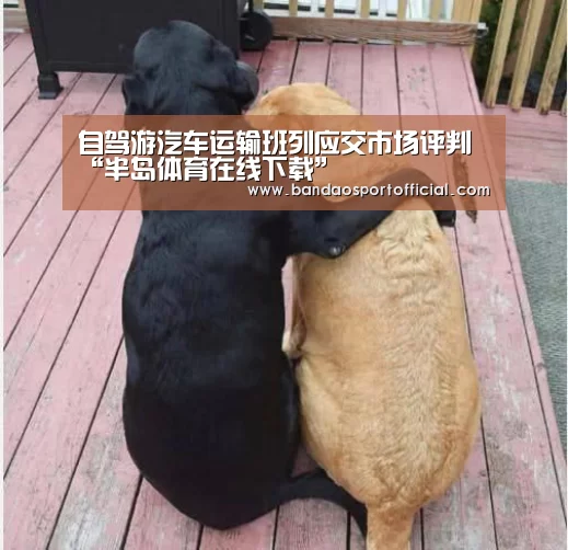 自驾游汽车运输班列应交市场评判“半岛体育在线下载”(图1)